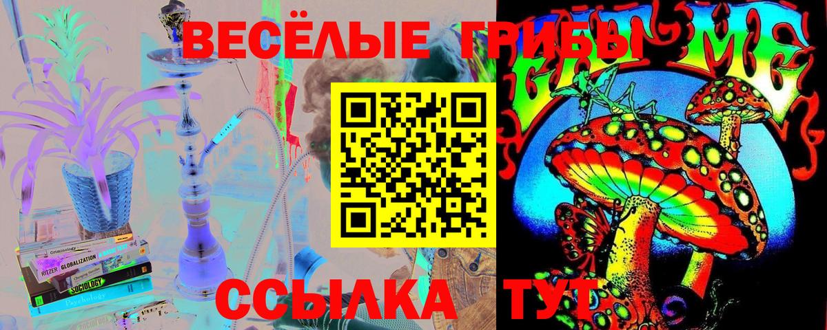 Галлюциногенные грибы Cubensis  Псилоцибиновые грибы Psilocybine cubensis  Белая Калитва  Вход с VPN 